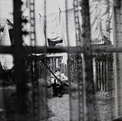 Chaos And Creation In The Backyard - primary