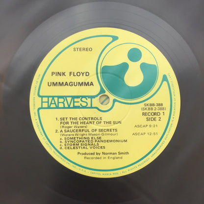 Pink Floyd - Ummagumma