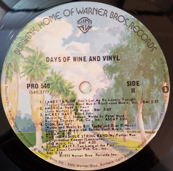 Days Of Wine And Vinyl - secondary