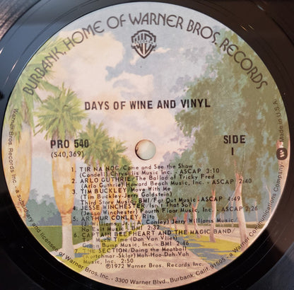 Days Of Wine And Vinyl - secondary