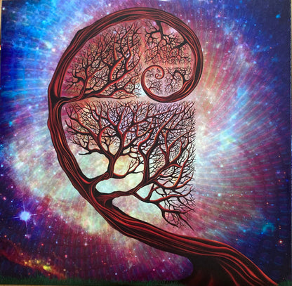 Space For The Earth - secondary