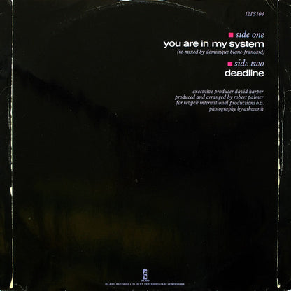 You Are In My System - secondary