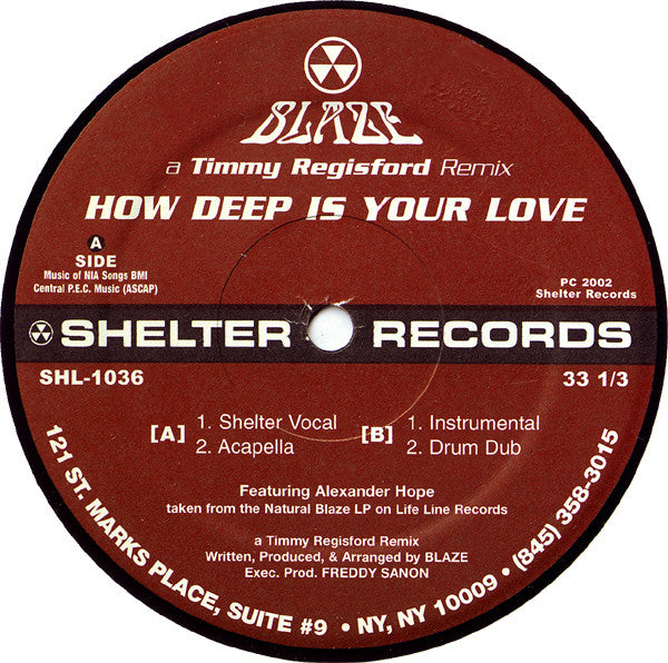 Blaze - How Deep Is Your Love (A Timmy Regisford Remix)