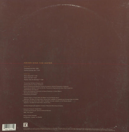12" Single: Chaka Khan, Me'Shell NdegéOcello - Never Miss The Water