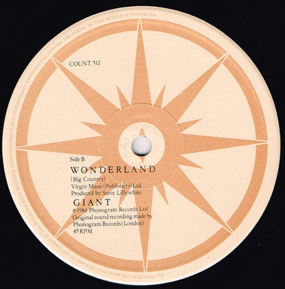12" Single: Big Country - Wonderland