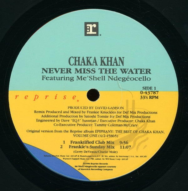 12" Single: Chaka Khan, Me'Shell NdegéOcello - Never Miss The Water