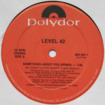 12" Single: Level 42 - Something About You Remix