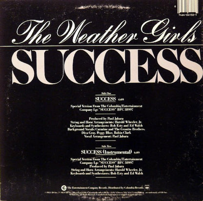 12" Single: The Weather Girls - Success