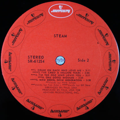 Steam - Steam
