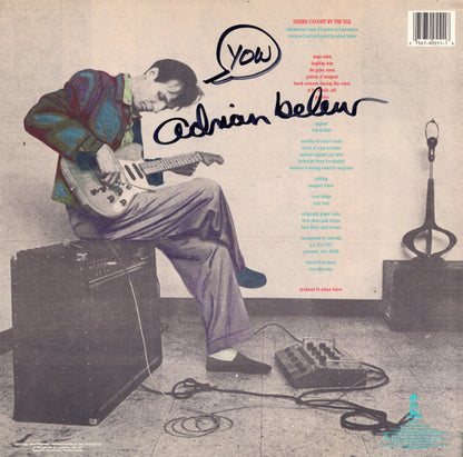 Adrian Belew - Desire Caught By The Tail