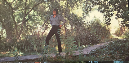 Wayne Newton - Can't You Hear The Song?