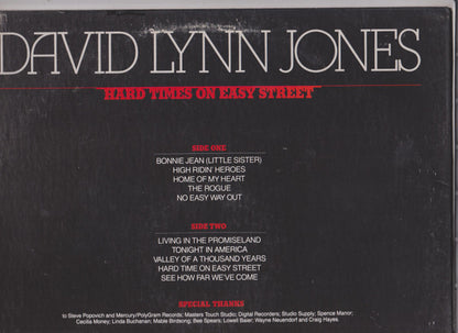 David Lynn Jones - Hard Times On Easy Street