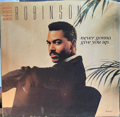 7" Single: Bert Robinson - Never Gonna Give You Up
