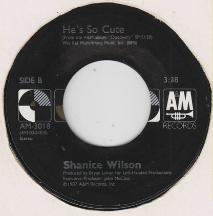 7" Single: Shanice Wilson - The Way You Love Me