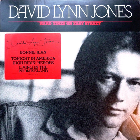 David Lynn Jones - Hard Times On Easy Street