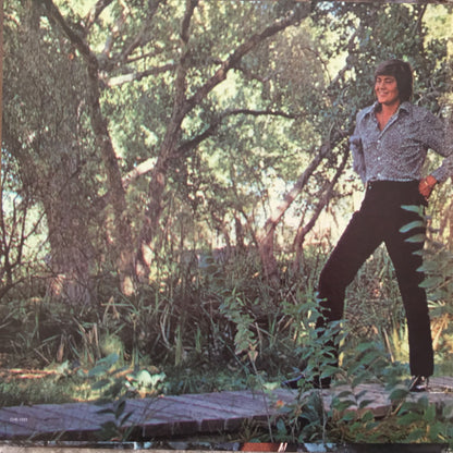 Wayne Newton - Can't You Hear The Song?