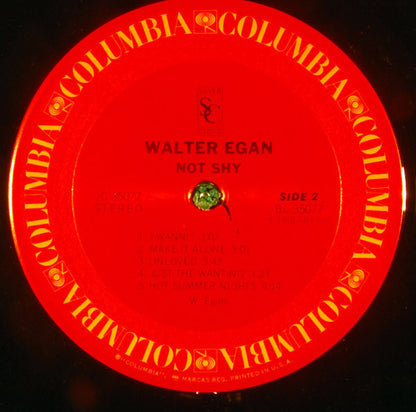 Walter Egan - Not Shy