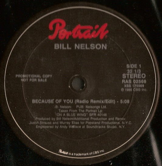 Bill Nelson - Because Of You