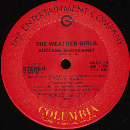 12" Single: The Weather Girls - Success