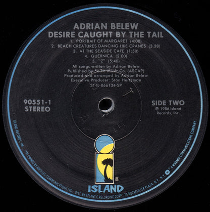 Adrian Belew - Desire Caught By The Tail