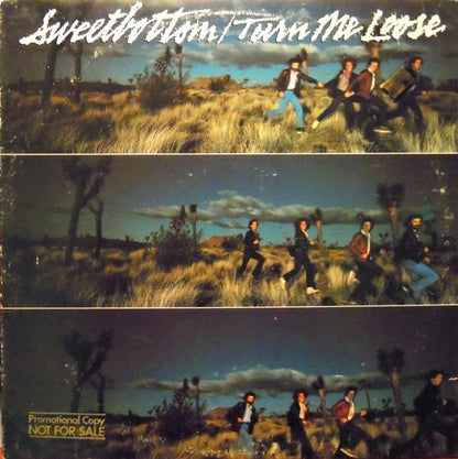 Sweetbottom - Turn Me Loose