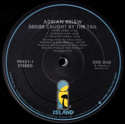Adrian Belew - Desire Caught By The Tail