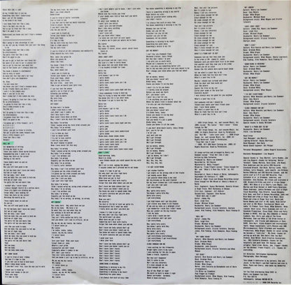 Henry Lee Summer - I've Got Everything