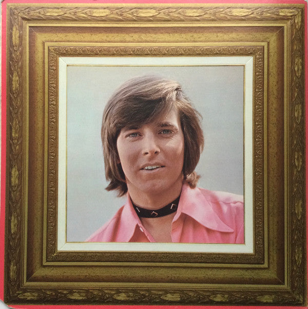 bobby sherman portrait of bobby - Ilustrasi 3