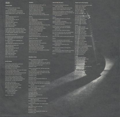 Gordon Lightfoot - Shadows