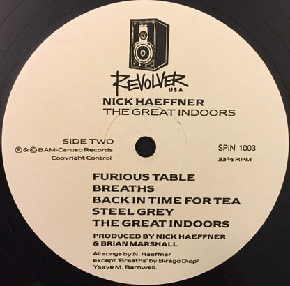 Nick Haeffner - The Great Indoors