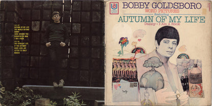 Bobby Goldsboro - Word Pictures