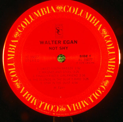 Walter Egan - Not Shy