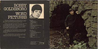 Bobby Goldsboro - Word Pictures