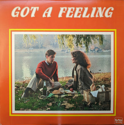 Various - Tee Vee Records Presents Got A Feeling